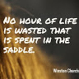 Meet your Posher, Lizz